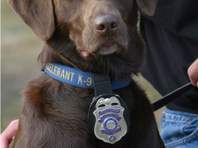 K-9 Program-Service Dog Badge