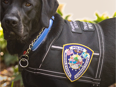 K-9 Program-Police Service Dog Patches