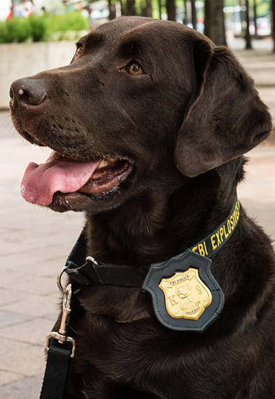 K-9 Program-Police Service Dog Badges
