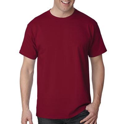 Hanes Men's Tagless Pre-Shrunk Cotton T-Shirt